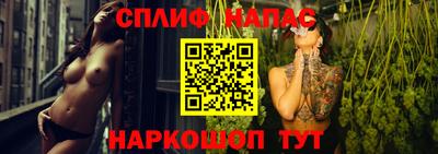 эйфоретик Будённовск