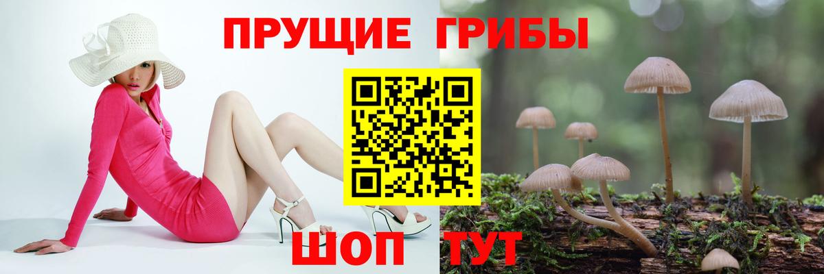 Псилоцибиновые грибы MAGIC MUSHROOMS Иваново